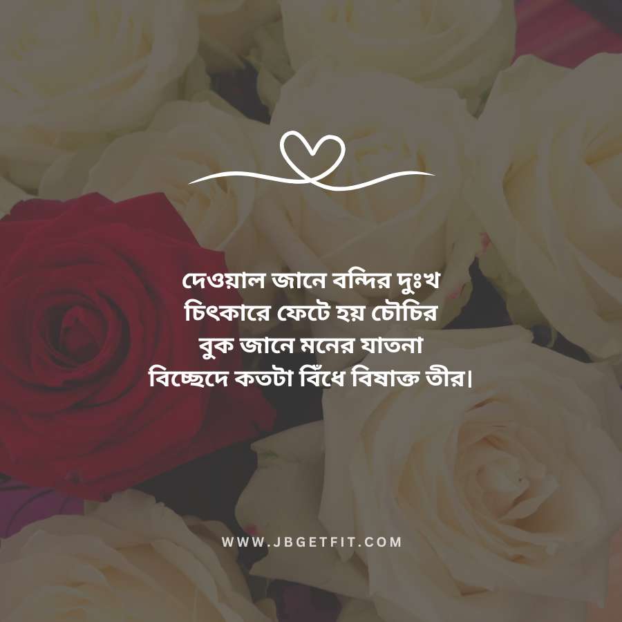 Love Shayari in Bengali