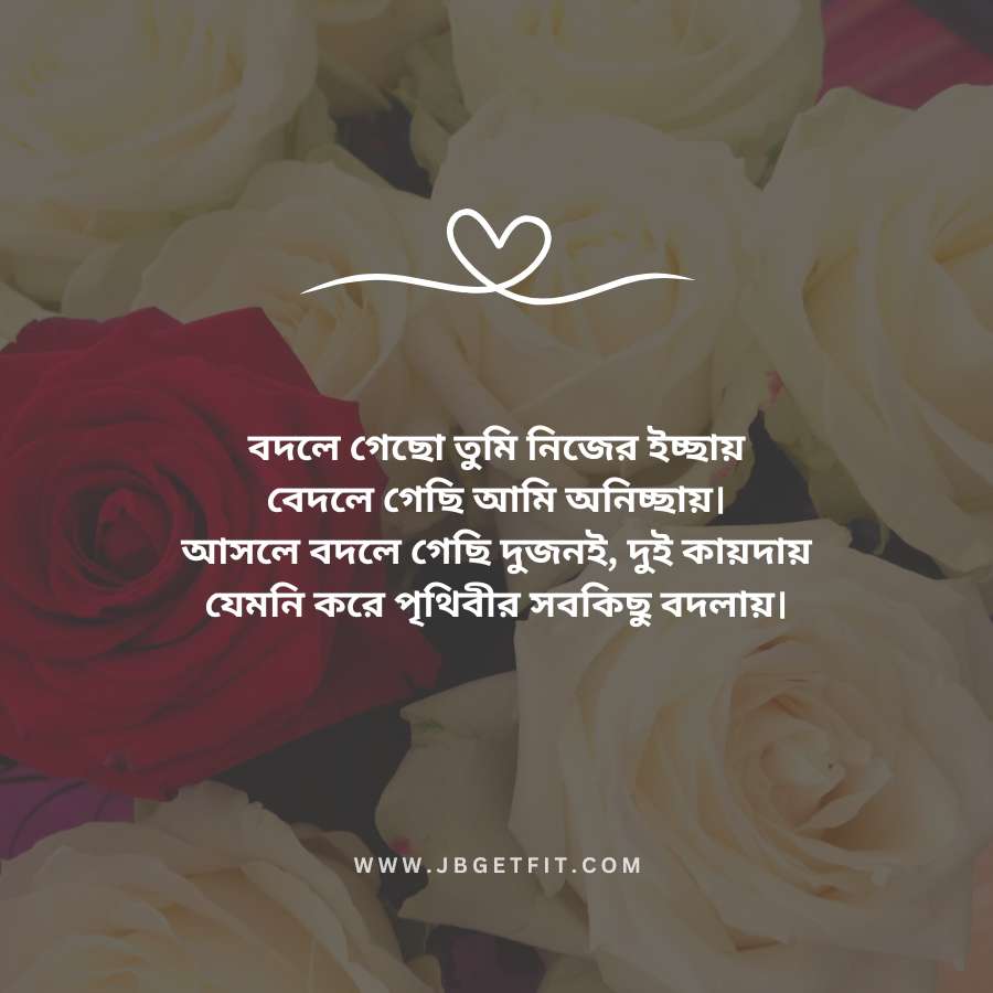 প্রেমের রোমান্টিক এসএমএস